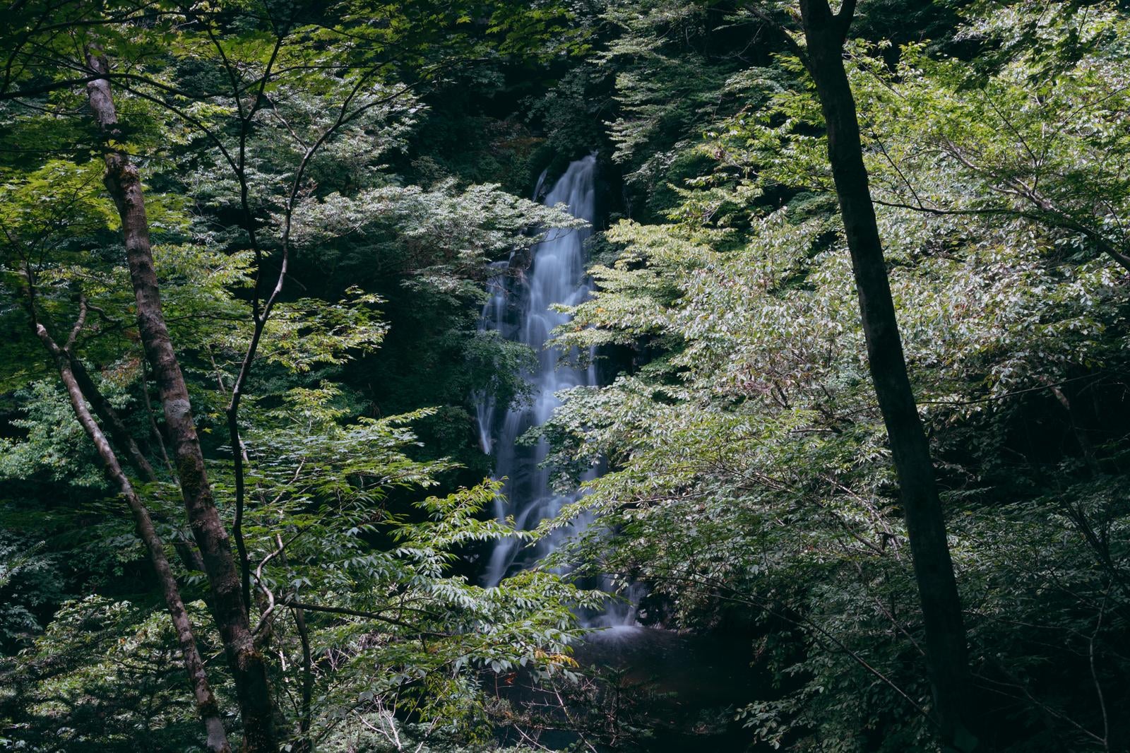 「木々の間から垣間見る滝の姿」の写真