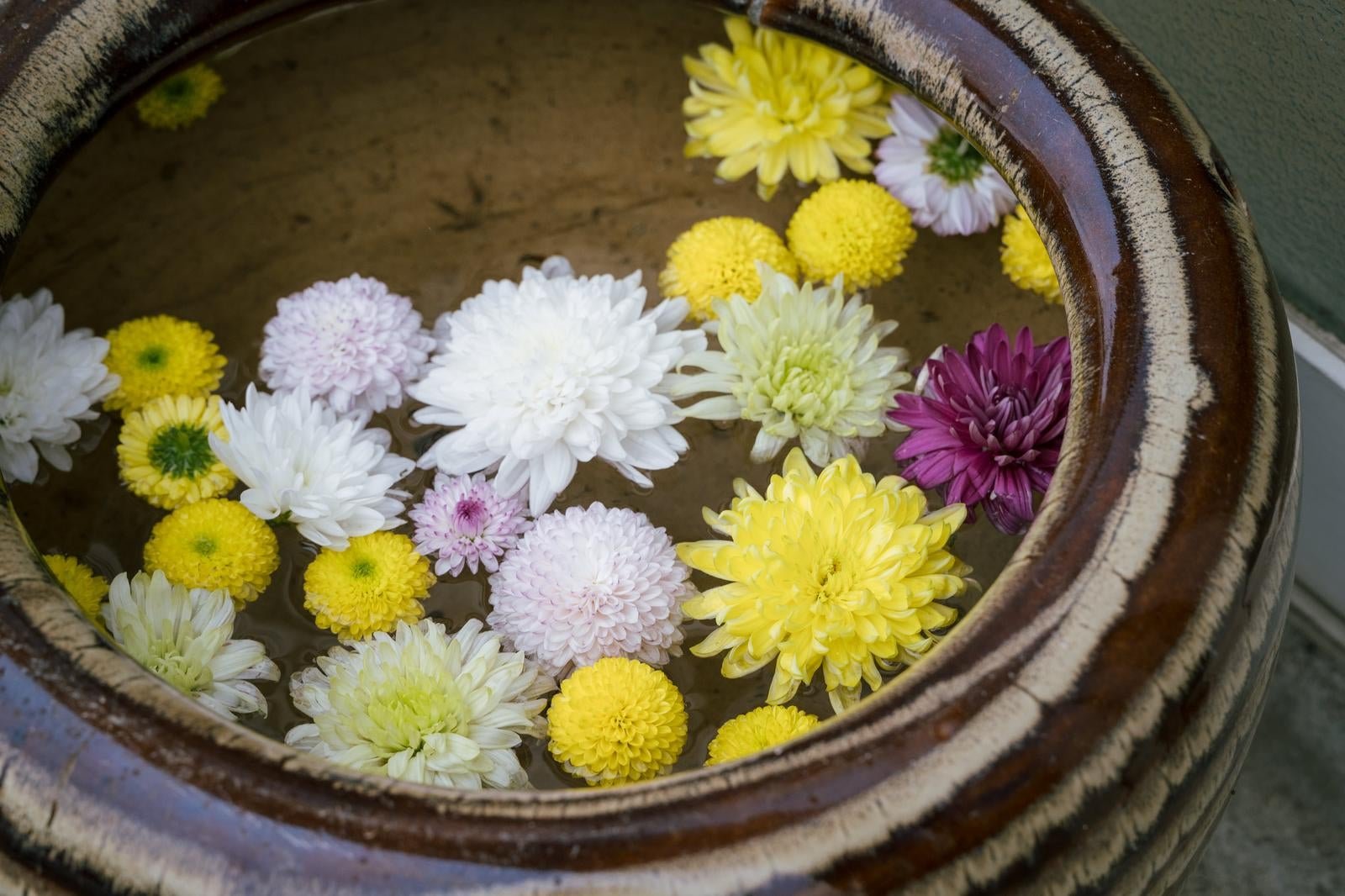 「岳温泉神社にあった水面に浮かぶ花々」の写真