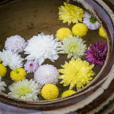 岳温泉神社にあった水面に浮かぶ花々の写真