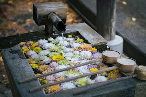 二本松市岳温泉で見る花手水の美、水面に映る花の写真