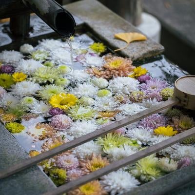 岳温泉で語られる花手水の静寂な調べの写真