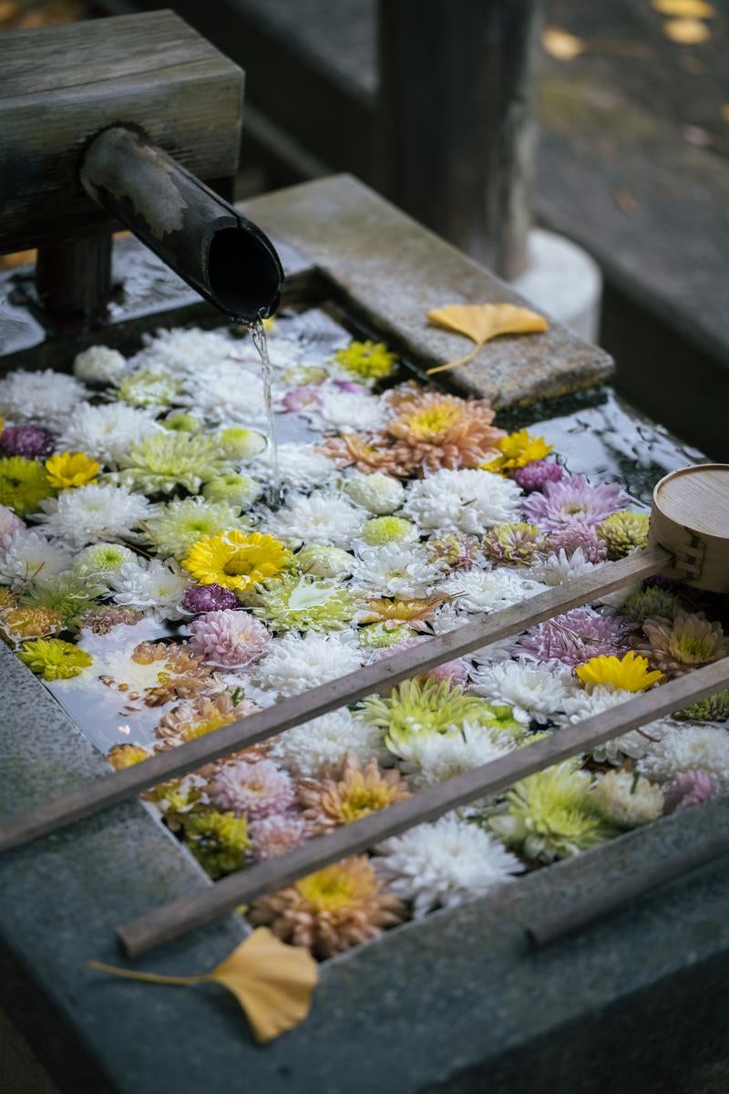 「岳温泉で語られる花手水の静寂な調べ」の写真