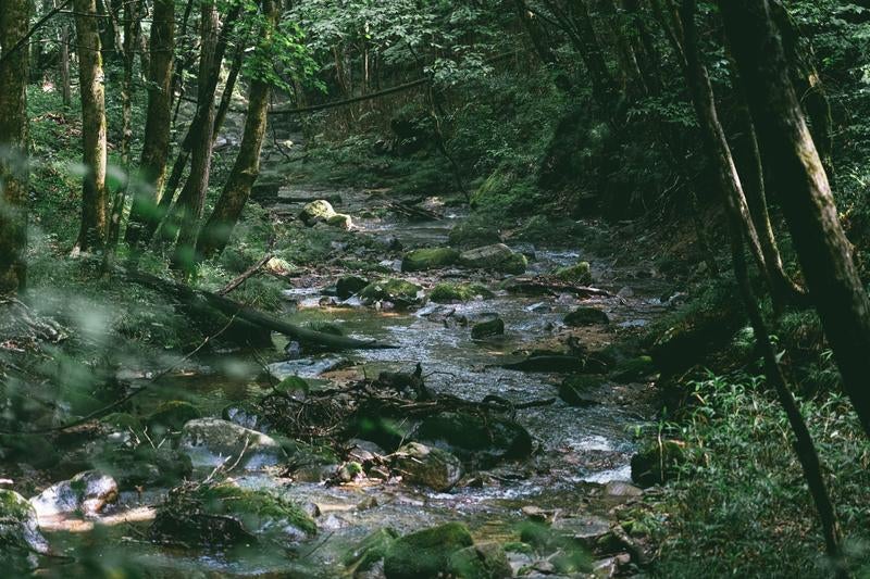 Natural Harmony: The Flow of Stream Water at Gyoji Falls