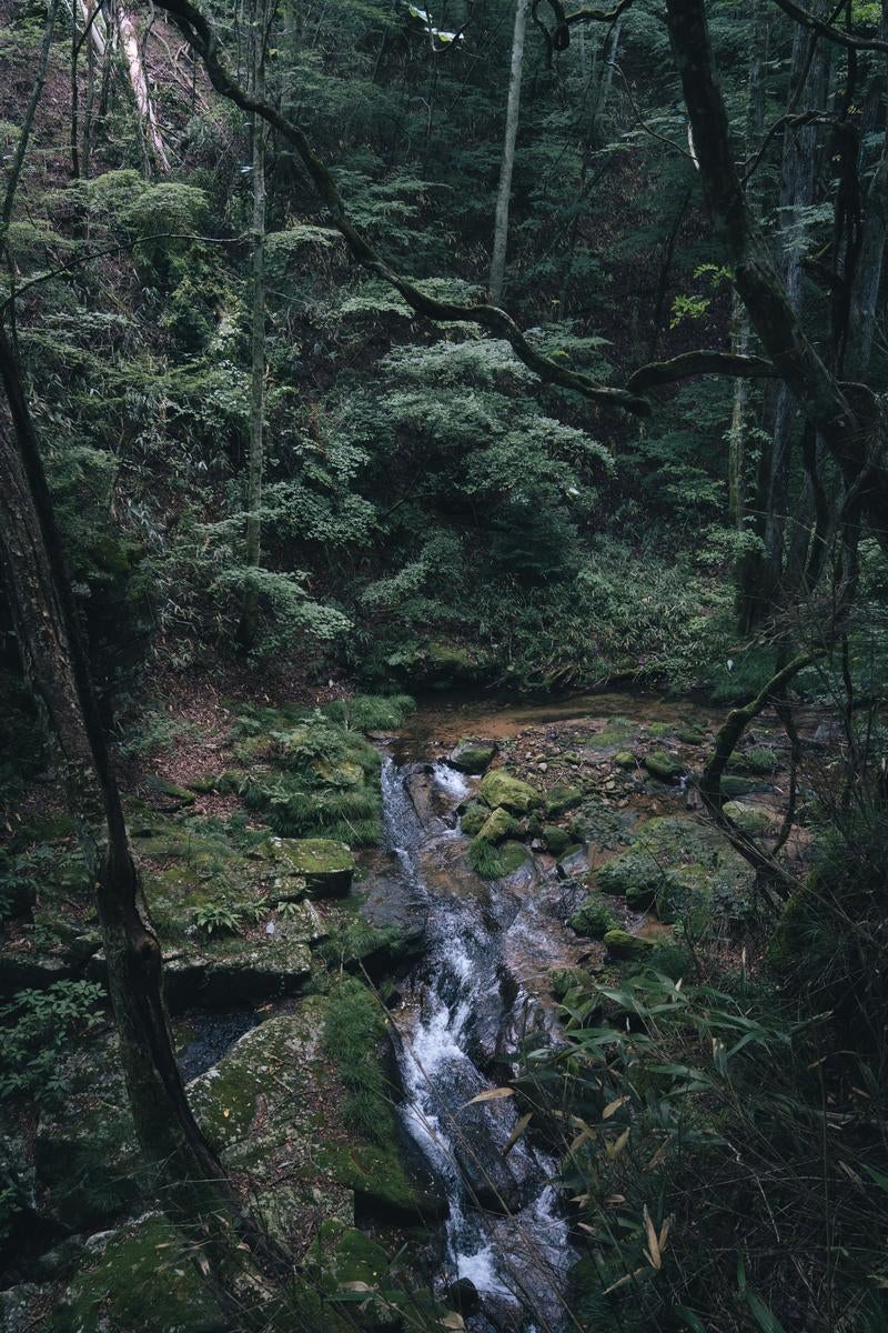 「行司ヶ滝近くの小川、薄明に浮かぶ自然の静寂」の写真