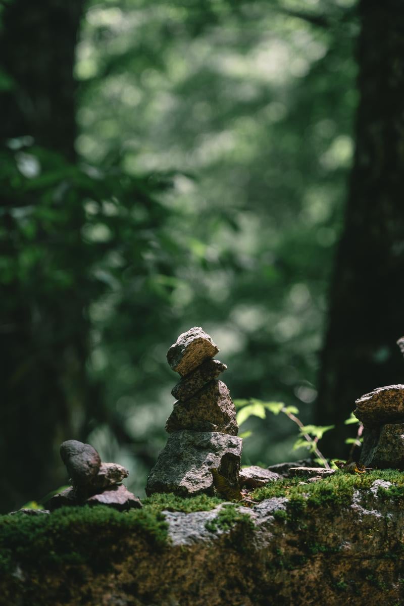 「木漏れ日のケルン」の写真