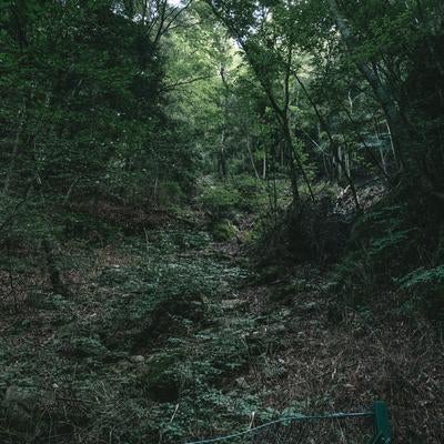 行司ヶ滝周辺の落石注意の柵の写真
