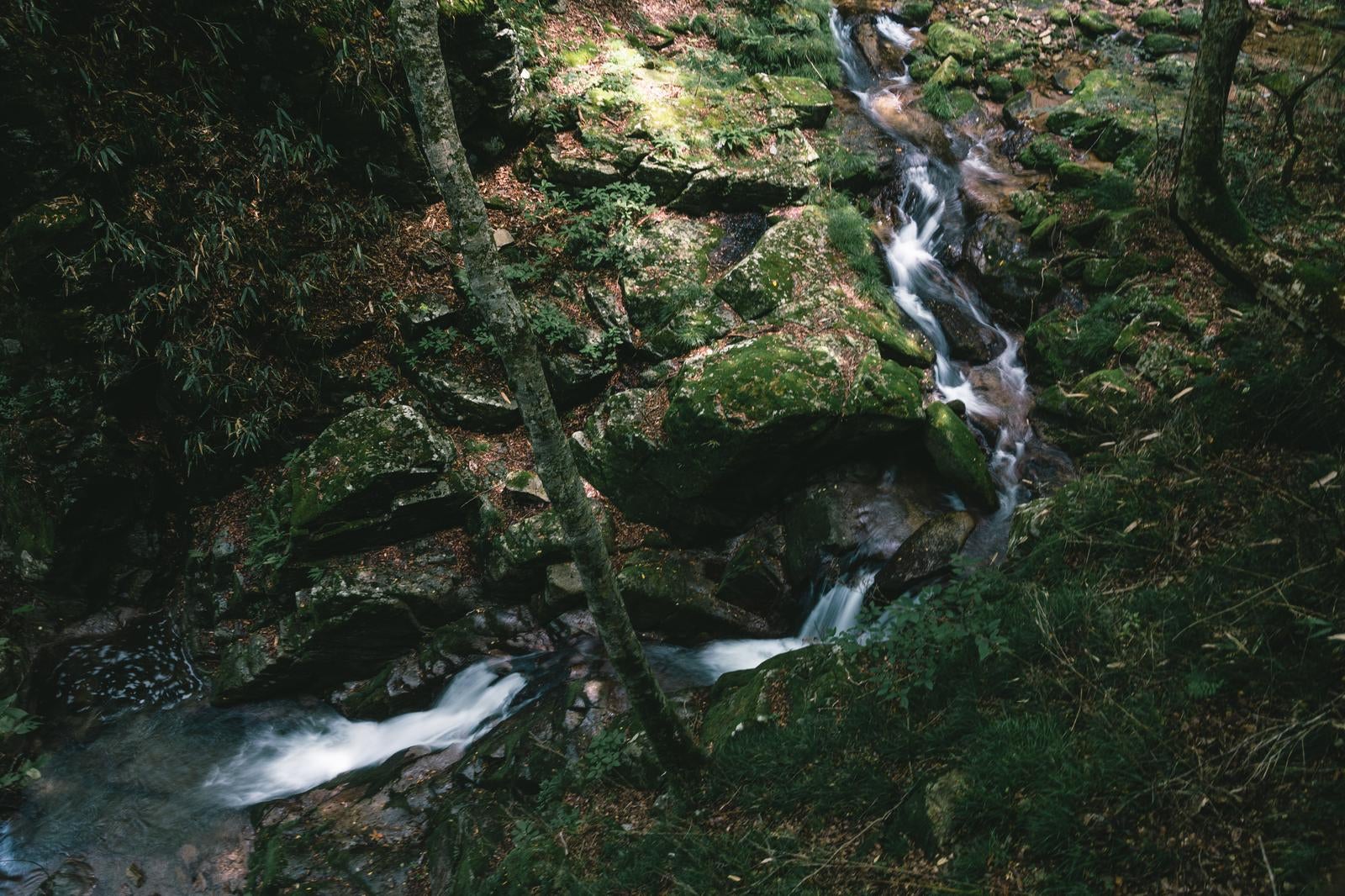 「行司ヶ滝の苔に覆われた岩肌と流れる水」の写真