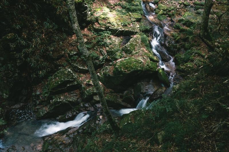 行司ヶ滝の苔に覆われた岩肌と流れる水の写真