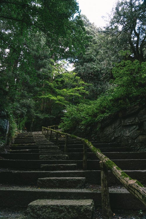 東堂山満福寺の石段と包まれる自然の写真