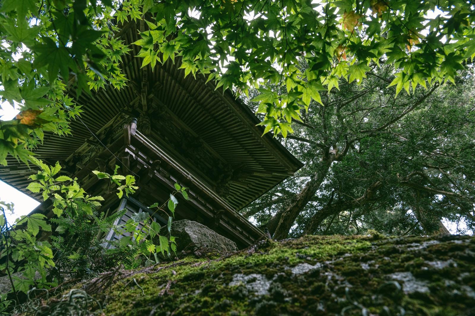「東堂山満福寺の境内で聞く鐘の音」の写真