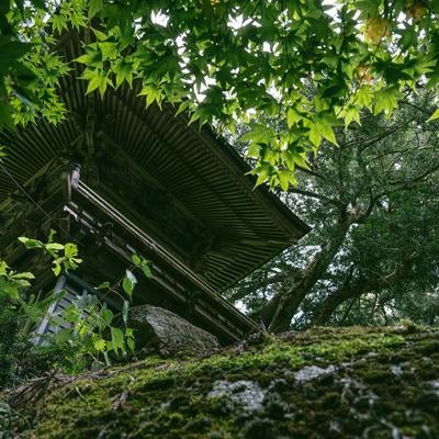 東堂山満福寺の境内で聞く鐘の音の写真