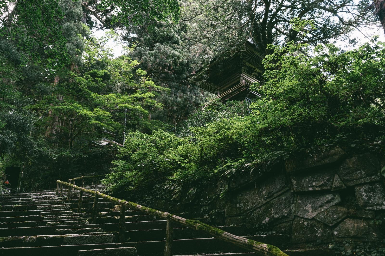 「東堂山満福寺の鐘楼と対話と石段を昇る心の旅」の写真