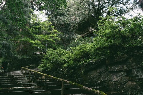 東堂山満福寺の鐘楼と対話と石段を昇る心の旅の写真