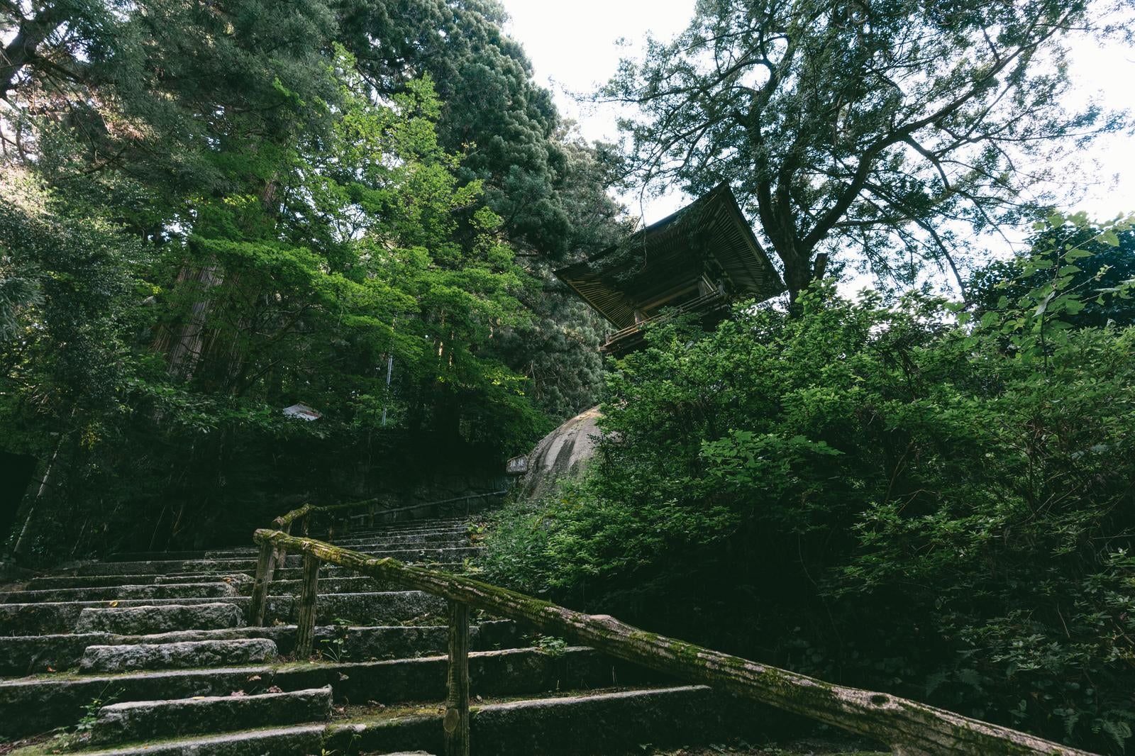 「境内の鐘楼と石段と東堂山満福寺の静かな語り」の写真