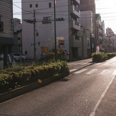 花園通りと街並みの写真