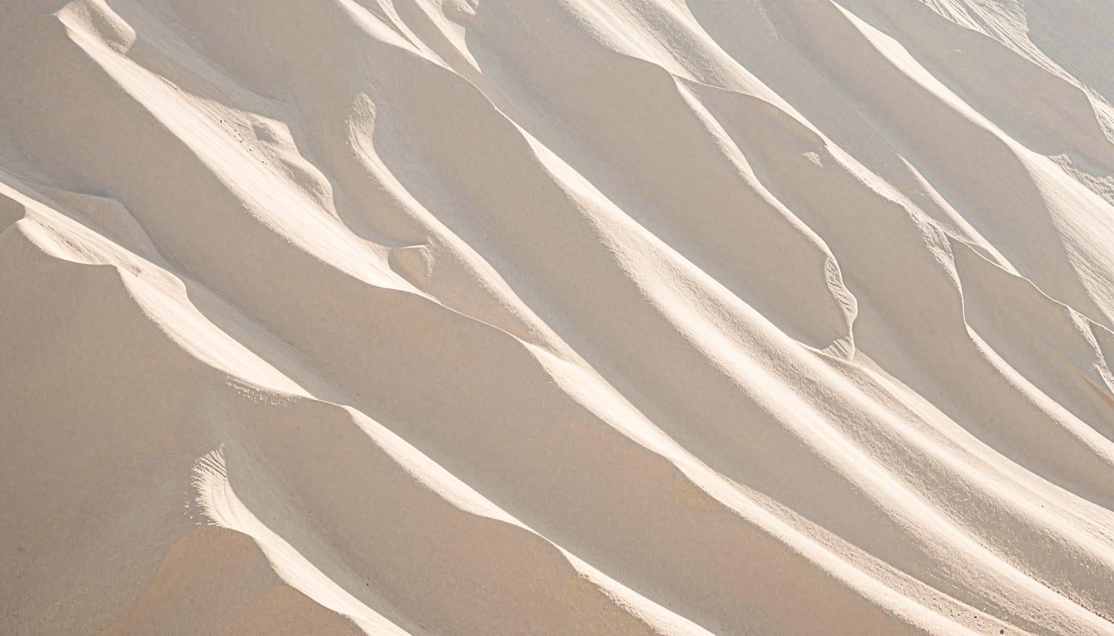 Wind ripple patterns on a desert surface with three-dimensional effects created by light and shadow, and undulating wave-like landforms