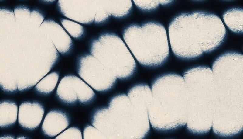 アメーバのように広がる藍色の細胞模様の写真