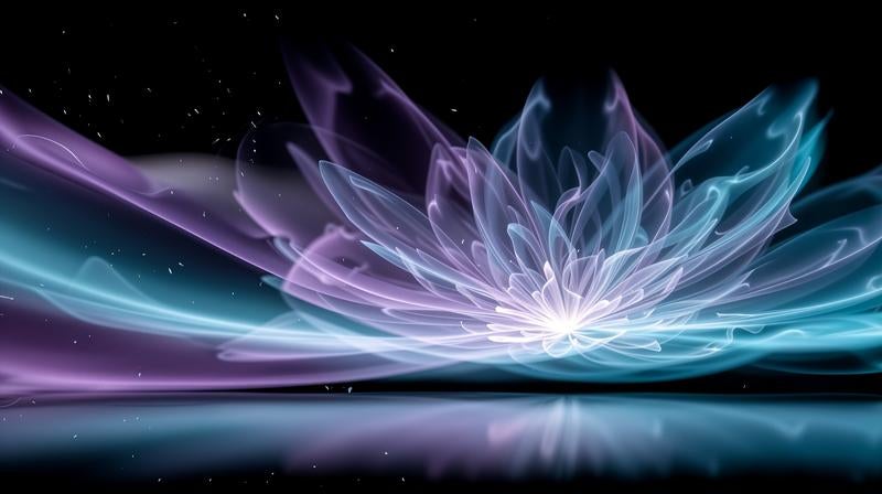 静寂な空間で煌めく光の蓮華の写真