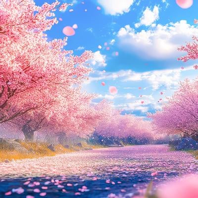 桜吹雪が舞う春の田舎道、満開の桜並木に青空が映えるの写真