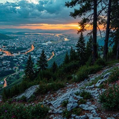 森の中の登山道と眼下に広がる都市の街並みの素材