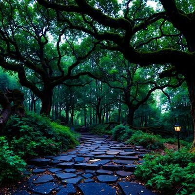 太い樹木と木漏れ日が差し込む散策路の写真