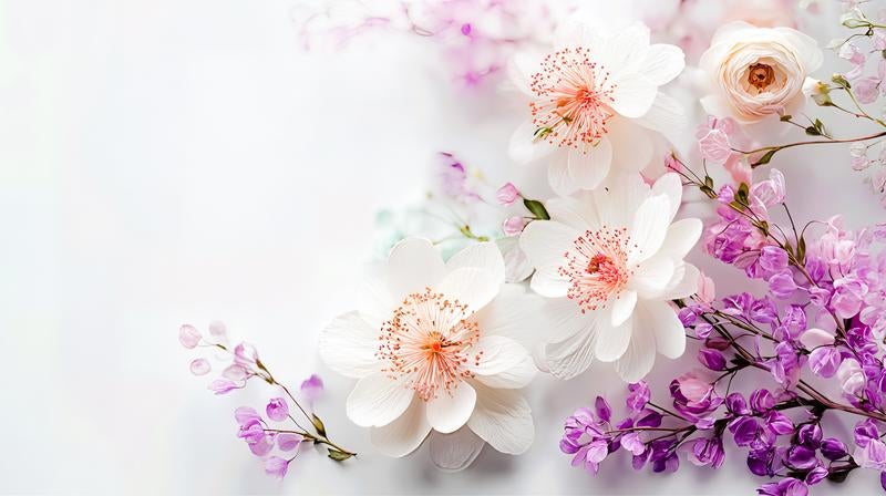 繊細な白い花びらの花と紫色の小花の写真