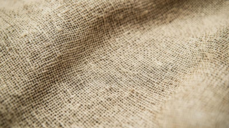 Coarse Textured Linen Fabric