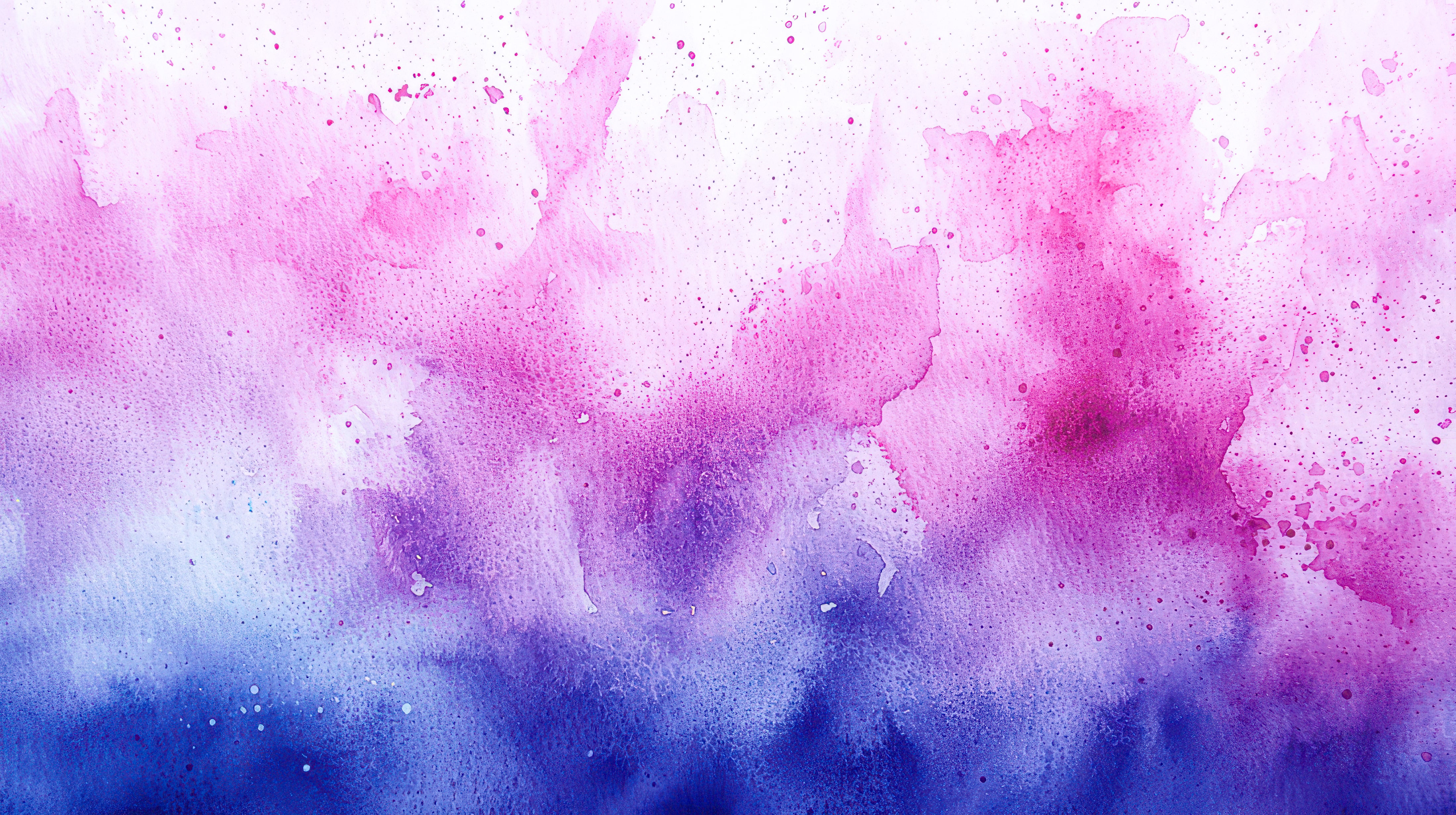 AIai_2412s8000-SL.jpg?&download=1