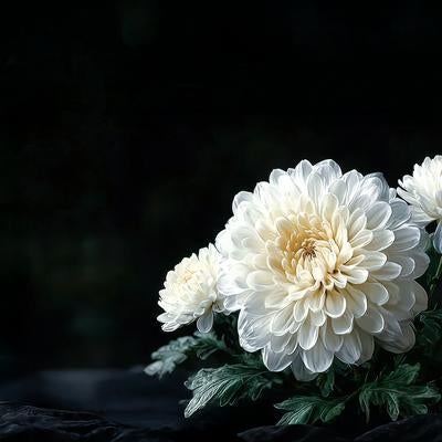弔意を示す供花の写真