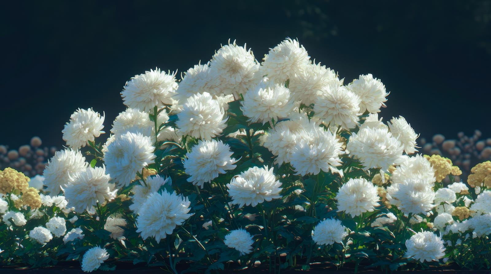 「斎場の弔花」の写真