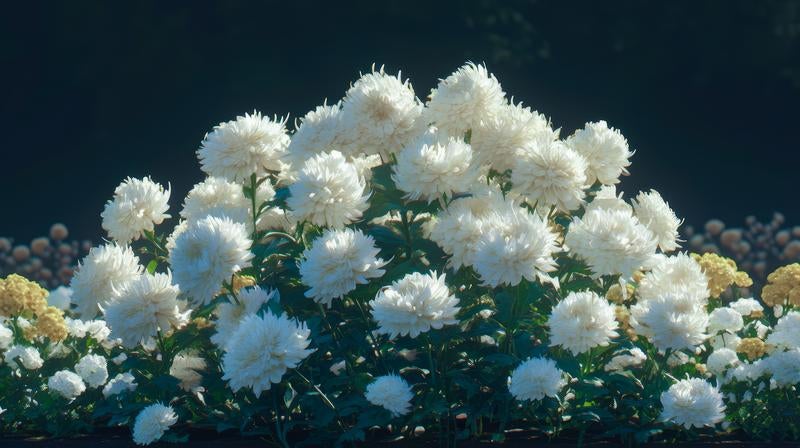斎場の弔花の写真