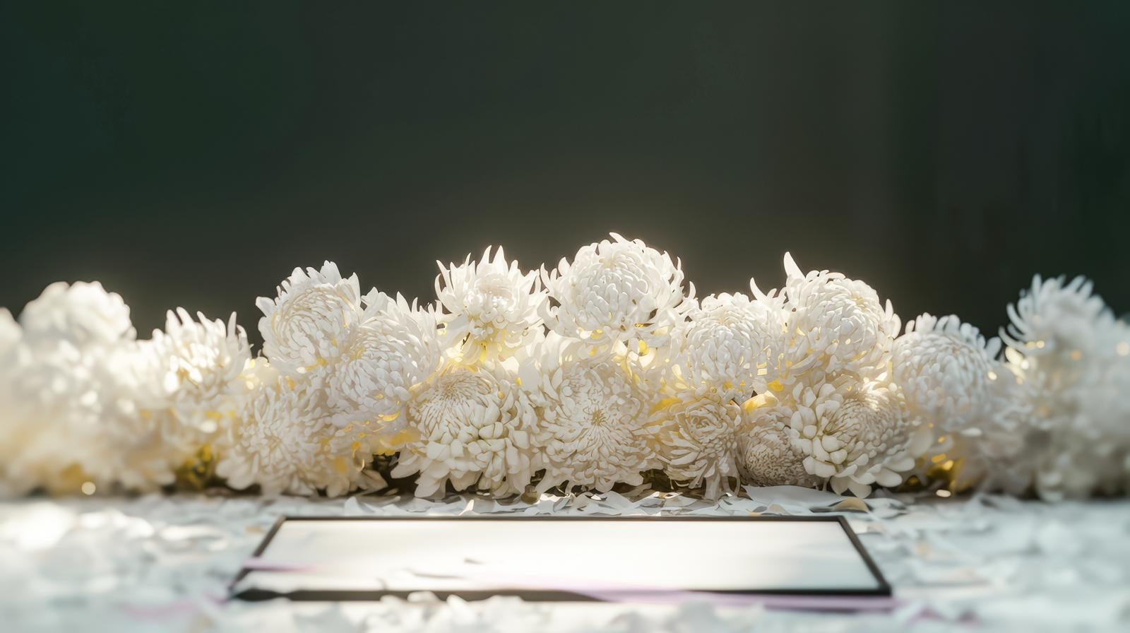 「追悼の花（菊）」の写真