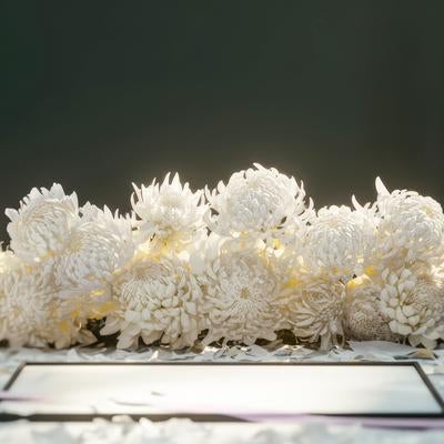 追悼の花（菊）の写真