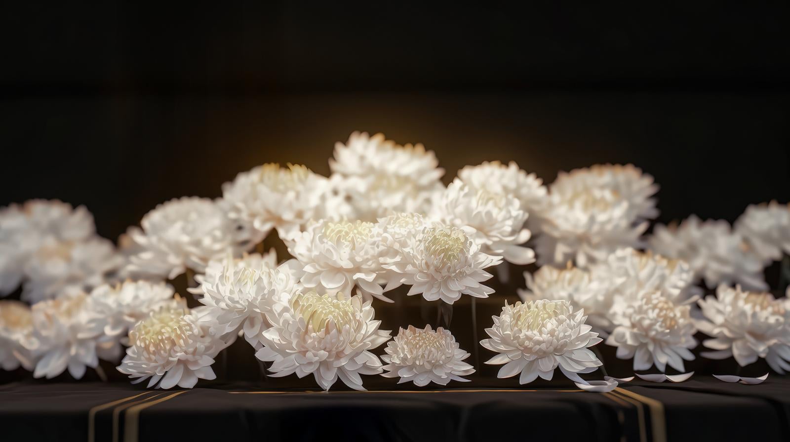 「哀悼の菊の花」の写真