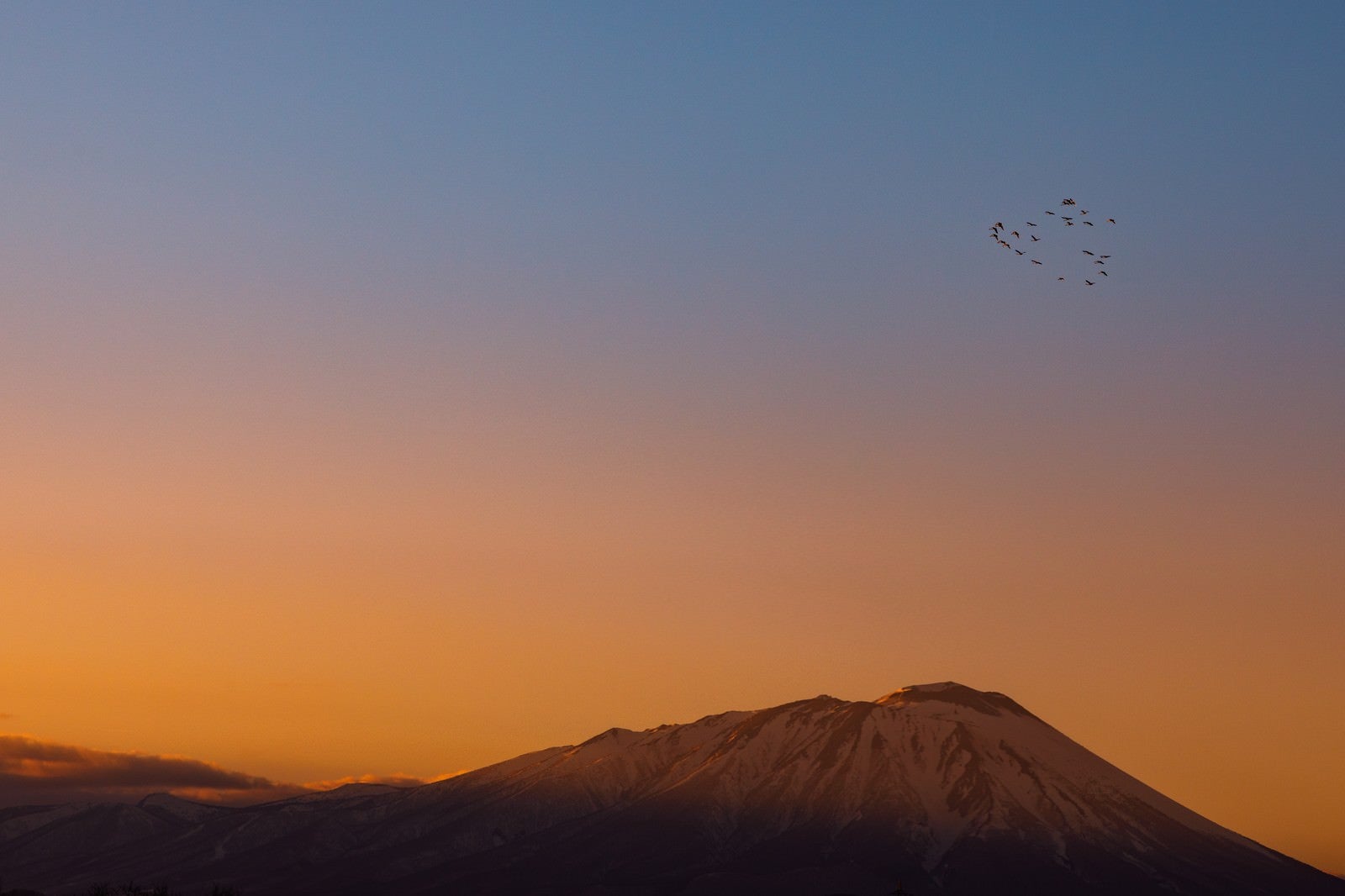 「岩手山と渡り鳥」の写真
