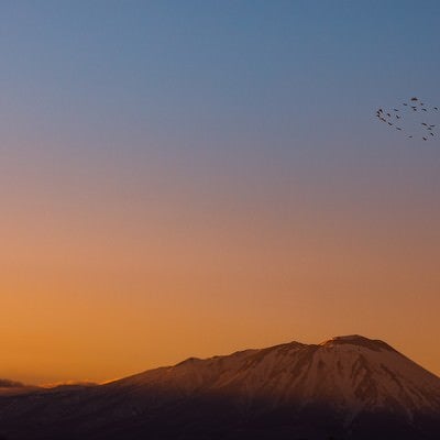 岩手山と渡り鳥の写真