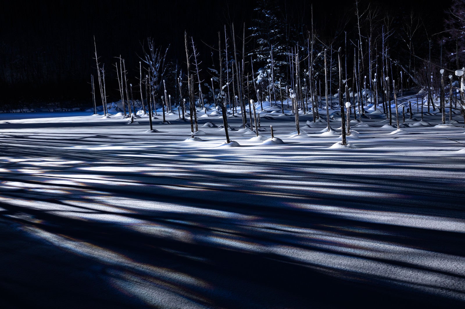 「雪積もる青い池と伸びる影」の写真