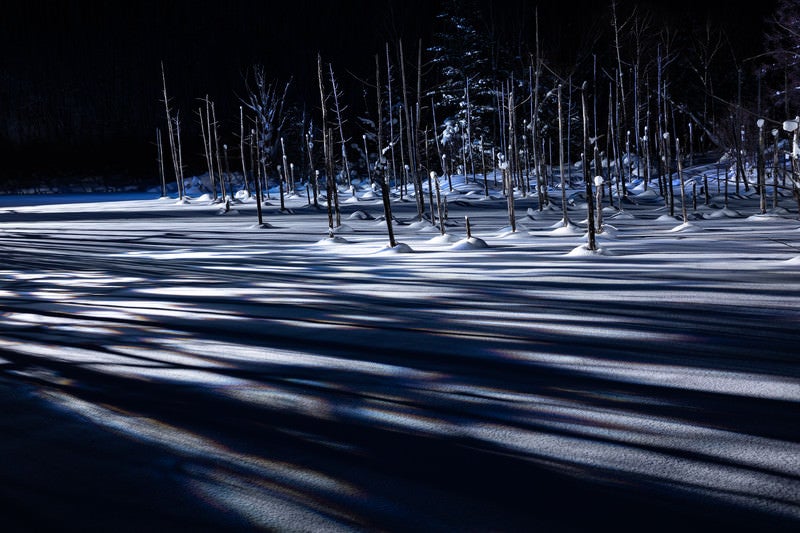 雪積もる青い池と伸びる影の写真