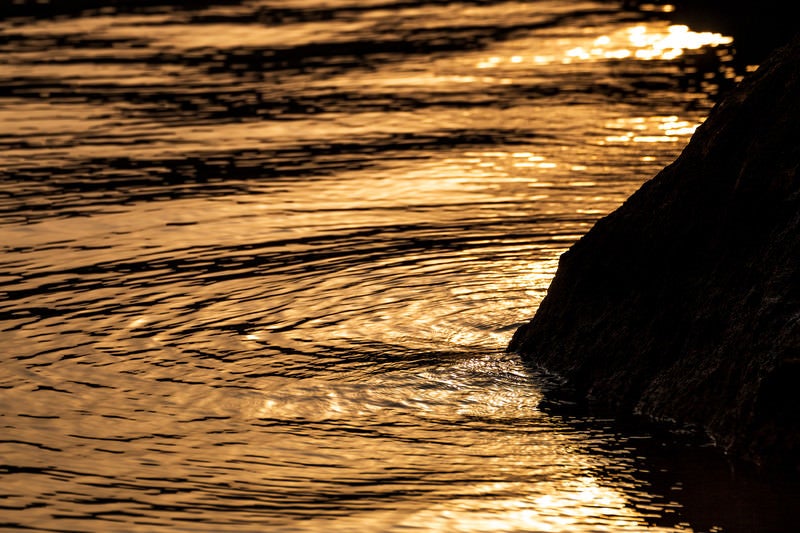 夕焼け色に染まる湖面の波紋の写真