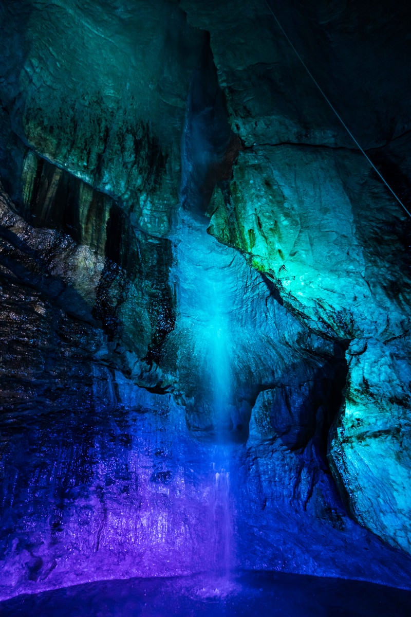 「ライトアップされた滝観洞の滝」の写真