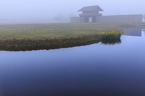 朝霧に包まれる払田の柵（秋田県）の写真