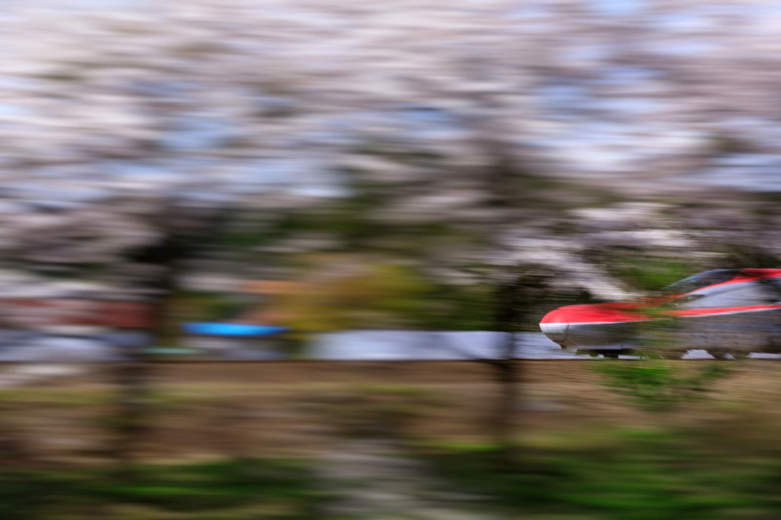 「桜並木沿いを駆け抜ける秋田新幹線（こまち）」の写真
