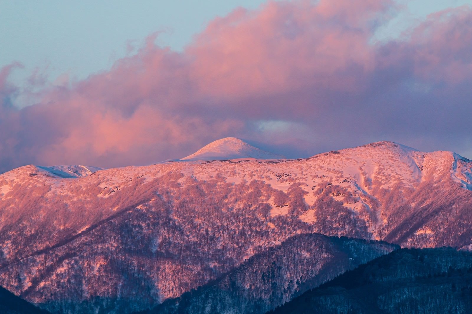 「雪残る秋田駒ヶ岳」の写真