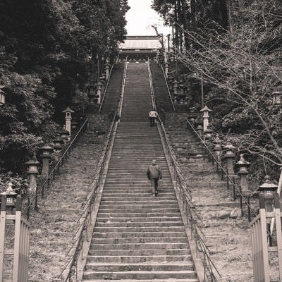 鹽竈神社への階段を上る参拝者（宮城県塩竈市）の写真