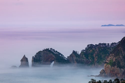 濃い霧に覆われる北山崎断崖の写真