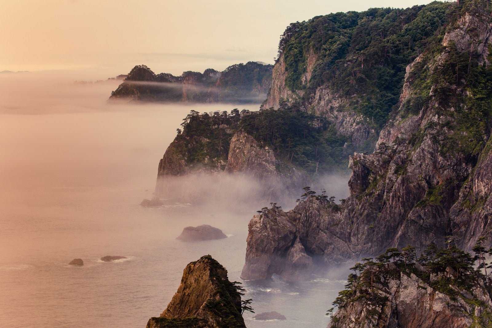 「朝霧残る北山崎の夜明け」の写真