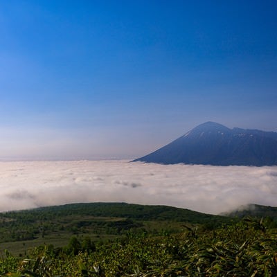 八幡平の雲海の写真