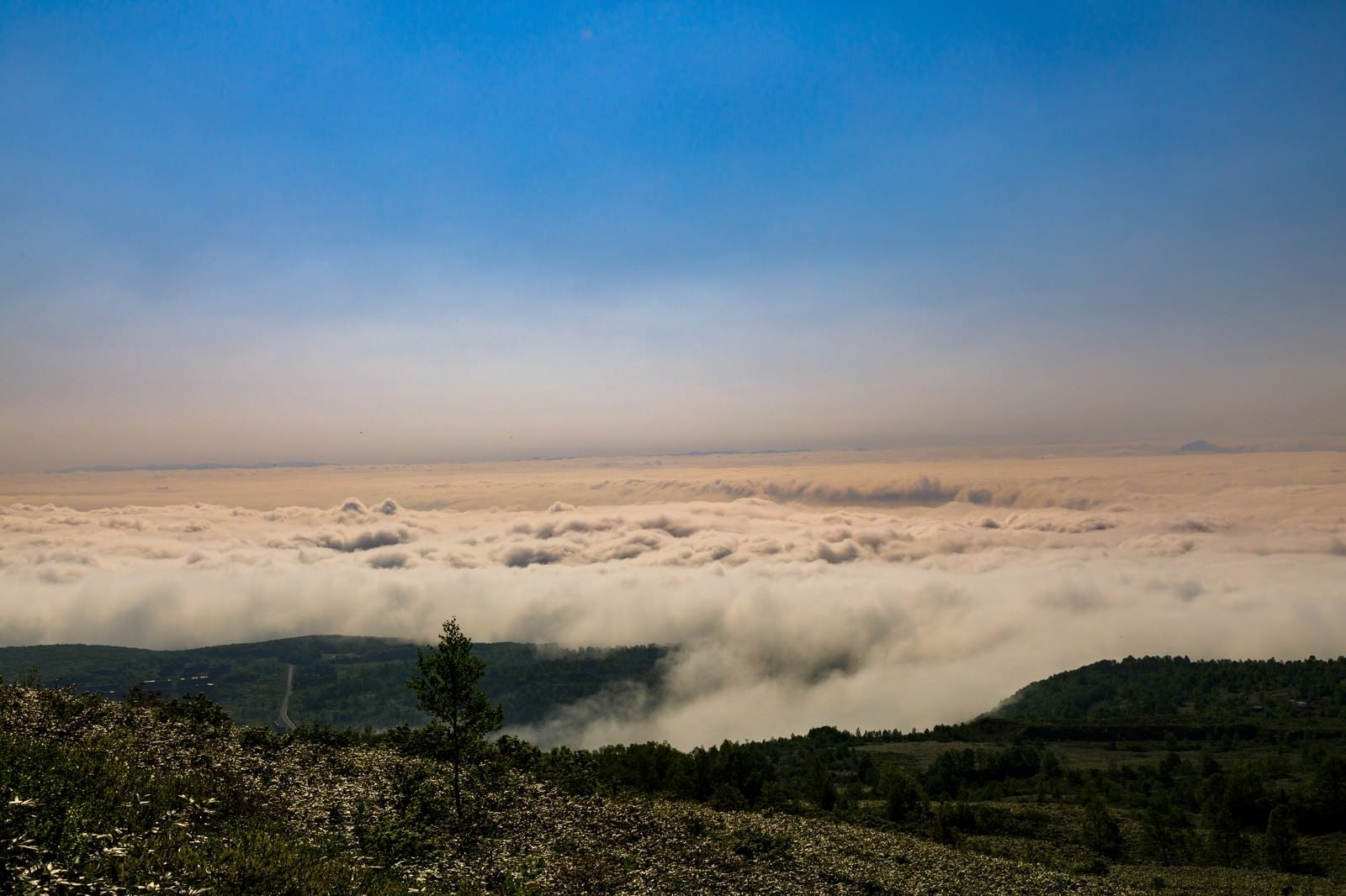 「八幡平と眼下に広がる雲海」の写真