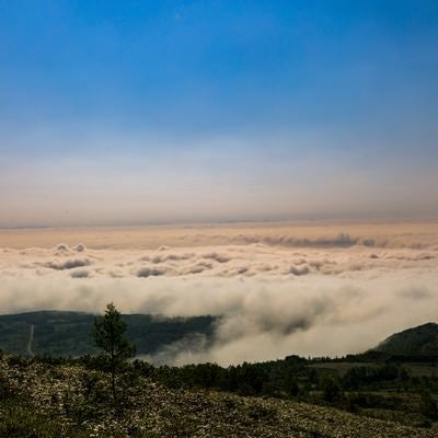 八幡平と眼下に広がる雲海の写真