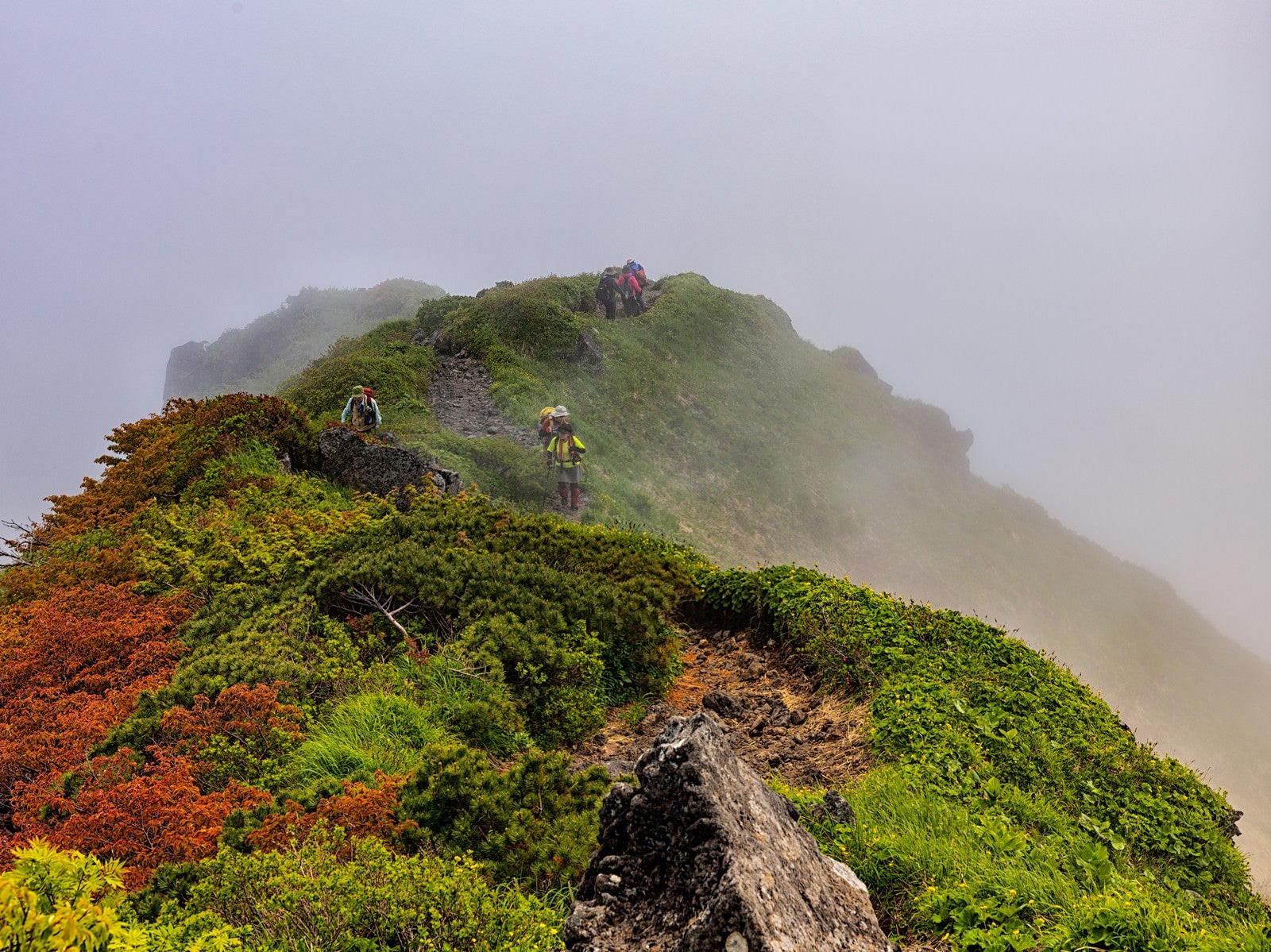 「稜線に立ち込める霧と登山者（秋田駒ヶ岳）」の写真